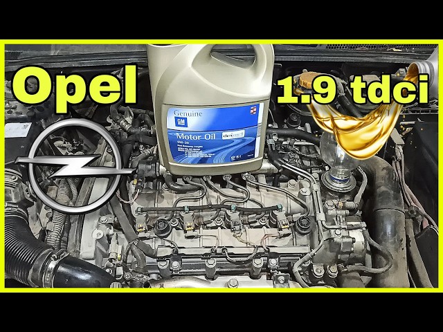 How to Change Oil | Oil Filter | Diesel Filter | Opel Vectra C | 1.9 TDCI Z19 DTH