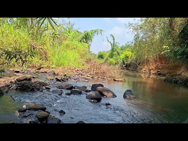 The Sound of Nature For Deep sleep, Relaxing Stream and Bird Sounds For Stress Relief