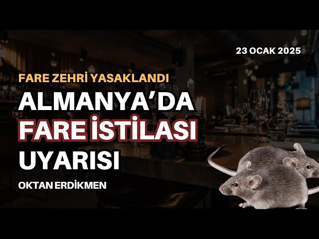 Almanya'da fare istilası uyarısı - 23 Ocak 2025 Oktan Erdikmen