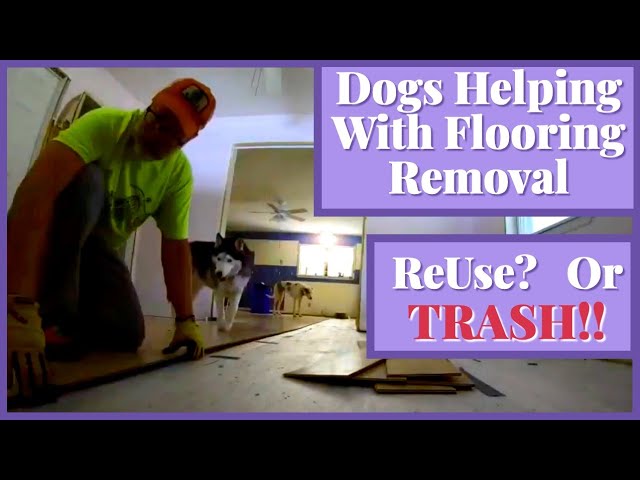 How to Remove Flooring for Reuse | Salvaging Laminate Flooring