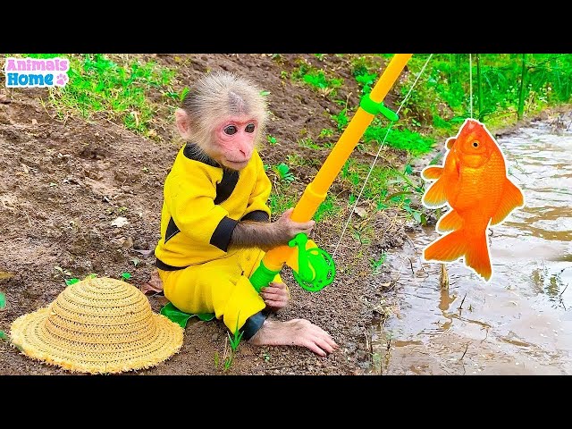 🔴 BiBi Animals Home Live 24/7 | Monkey Baby BiBi Goes fishing and plays with Ducklings and Puppies