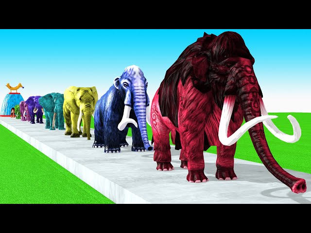 Paint Animals Mammoths and Elephants Size Comparison Fountain Crossing Animal Game Transformation