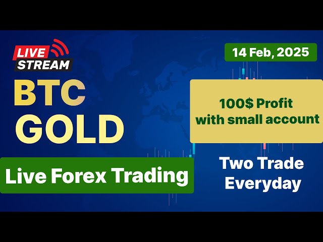 14 Feb Friday Live Trading Gold and  BTC | Forex Trading Live | Forex and Crypto | Forex Trading