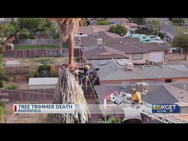 Tree trimmer death in east Bakersfield