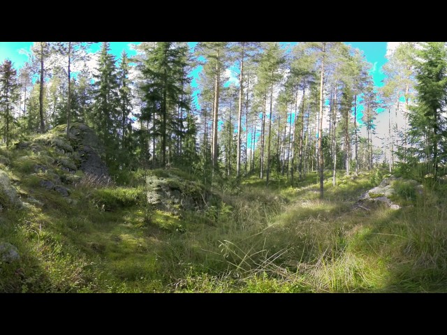 VR tour in Nordic forests part 3: Our passion for nature