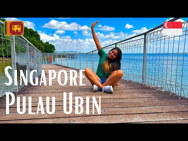 Pulau Ubin Island | Singapore Travel | Visit Places in Pulau Ubin in One Day 🇸🇬 🇱🇰