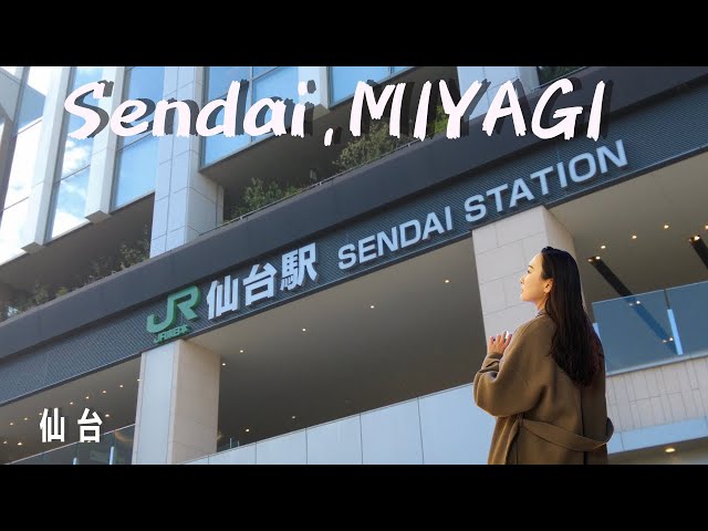 Stroll around Sendai, the largest city in Tohoku region in Japan🚶