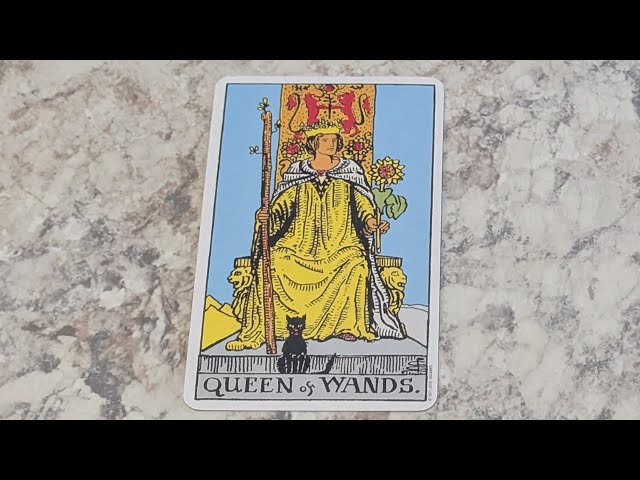 LEARN THE LANGUAGE OF TAROT DAY 63: QUEEN 👑 OF WANDS