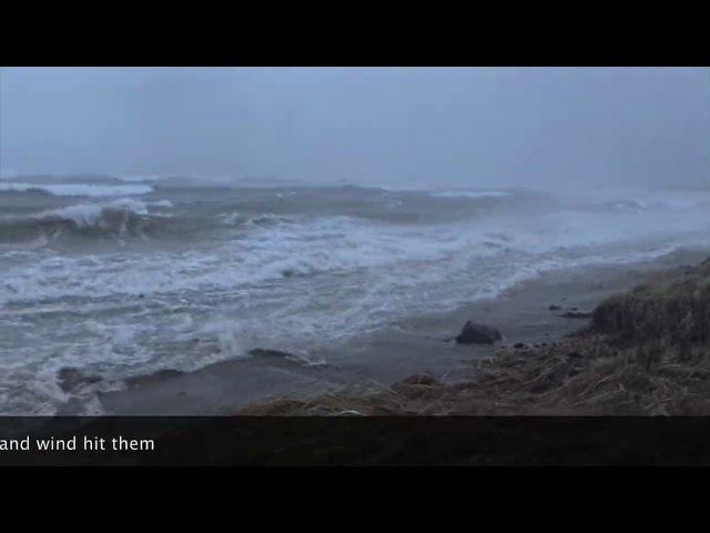 Storm Eowyn From The Shorefront