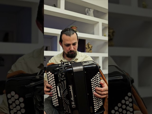 Hay chamamé #chamame #accordion #acordeon #sanfona