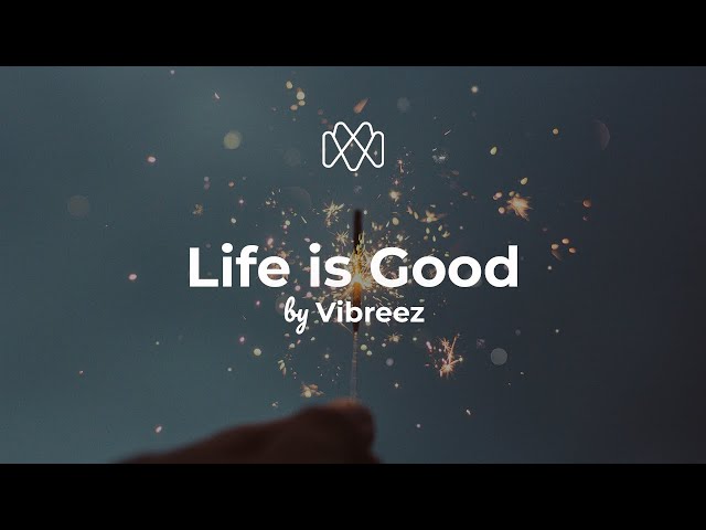 Vibreez - Life is Good (Lyrics)