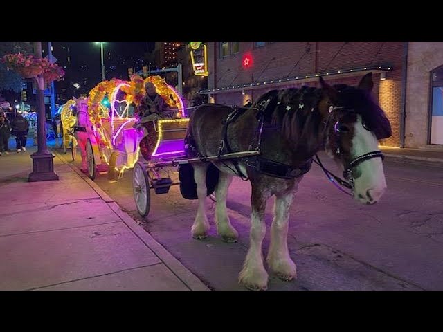 San Antonio City Council votes to ban horse carriages under 5-year compromise plan