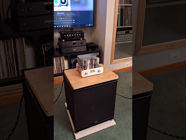 Magic little system! Philharmonic True Mini Monitors paired with the Boyuusound F5 Class A Tube Amp!