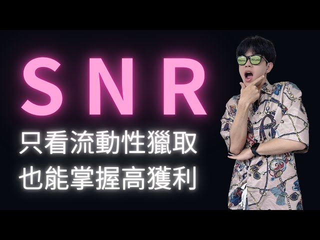 SNR 2024交易策略 ！不看K棒抓住流動性也能掌握高獲利 火眼睛針尖術！