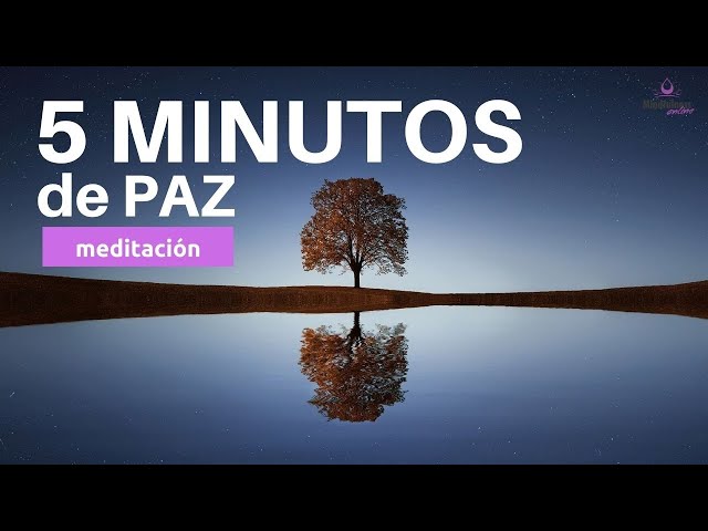 🙏🏻 MEDITACION guiada 5 minutos de PAZ Interior y PAZ MENTAL✨| Meditacion Express