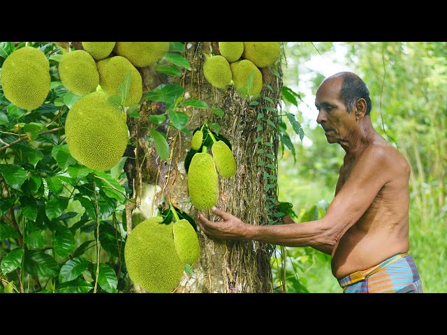 Village Cooking Secrets! Baby Jackfruit Curry in a Traditional Way 🍐 Ancient Cooking Methods Mr Gune