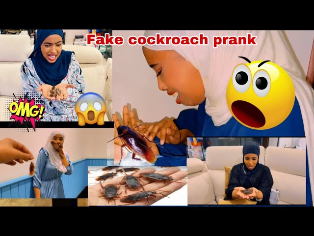 PRANK KALA CARAR AYAA DHACAY SUNDUS OO JABI GAARTAY AMIIRA KIKI CANAB BARANBARO NECBAA😳😁