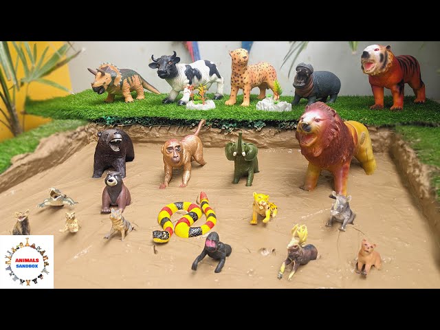 Forest Animals Rescue in Mud | Learn Forest Animals Names & Facts for Kids | Animals Sandbox