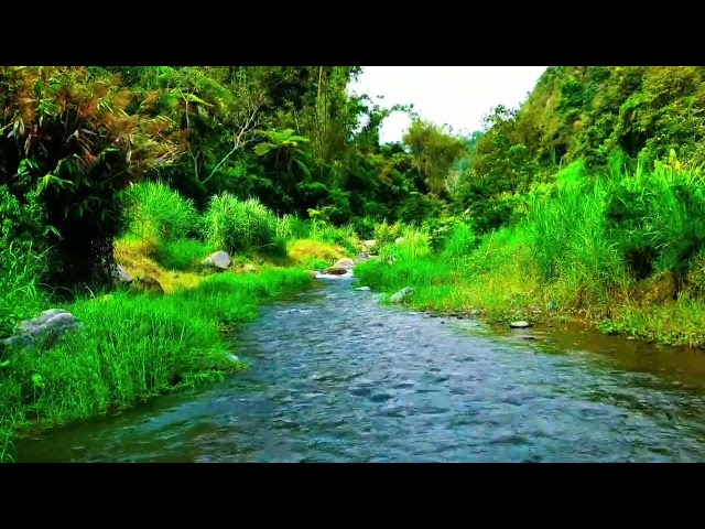 Calming Water Sound for Relaxation and Stress Relief, for sleep, for study, for yoga, for meditation