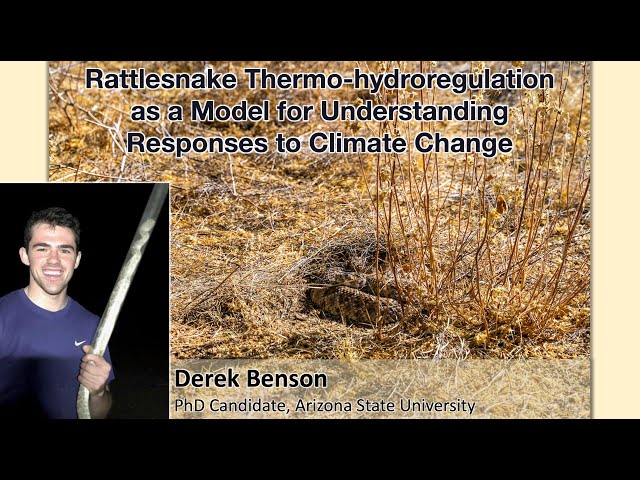 Hydro-thermoregulation in Rattlesnakes - Derek Benson, Arizona State University