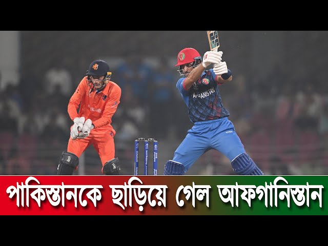 Netherlands vs Afghanistan | AFG vs NED Match | Cricket News | পাকিস্তানকে ছাড়িয়ে গেল আফগানিস্তান