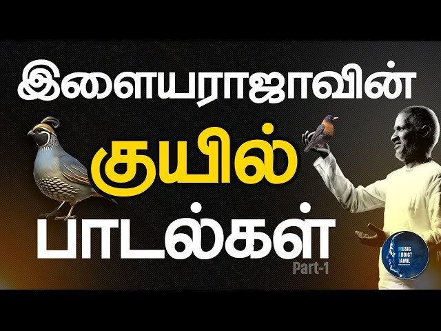 Ilayaraja's Kuyil Songs இளையராஜாவின் "குயில்" பாடல்கள்.. தேர்ந்தெடுக்கப்பட்ட  இனிமையான பாடல்கள்...