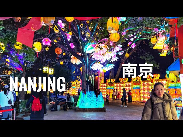 2025 Walking China, Exploring Nanjing Lantern Festival in Bailuzhou Park, Life in China