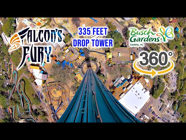 VR 360 Falcon's Fury 335 ft Drop Tower On Ride POV Busch Gardens Tampa 2024 03 11