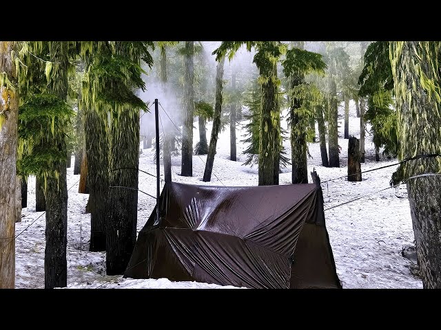 Hot Tent Hammock Camping In A Rainstorm | Wood Stove Ribeye