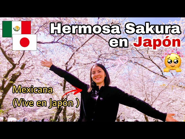 Así es JAPÓN en PRIMAVERA ¿30 años viviendo en JAPÓN y mi ESPOSO JAPONÉS no conocía este lugar?