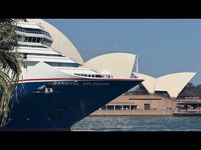 Sydney Harbor Celebrity Edge!