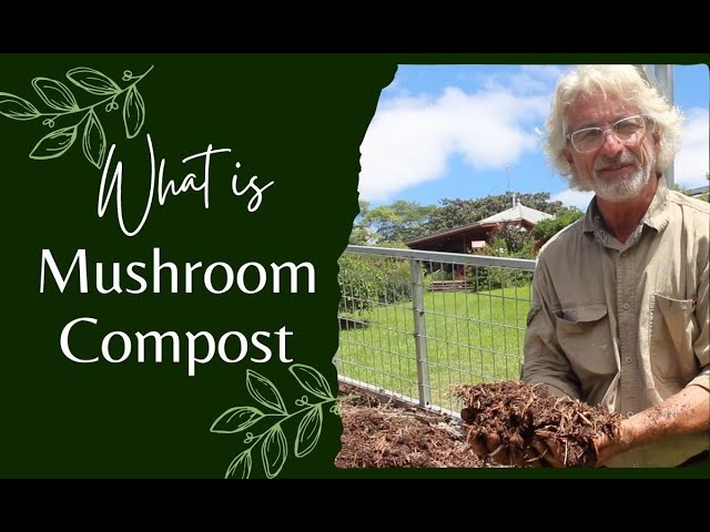 What is Mushroom Compost