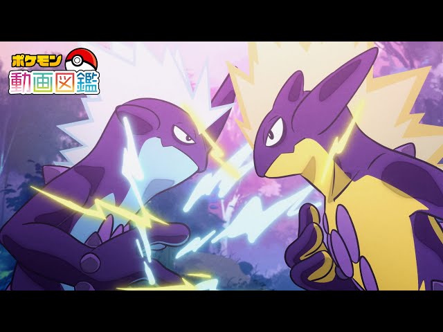 【公式】「ポケモン動画図鑑」No.0849 ストリンダー