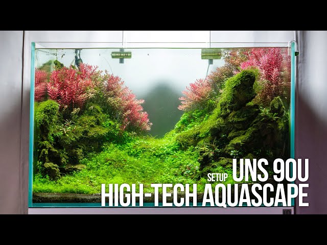 UNS 90U Aquascape Setup Tutorial with Aquarium Plants Emersed to Submerged