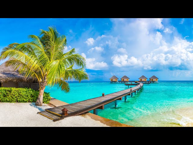 Maldives Tropical Islands Ambience - TropicalBossa Nova Music & Ocean Wave Sound for Relax