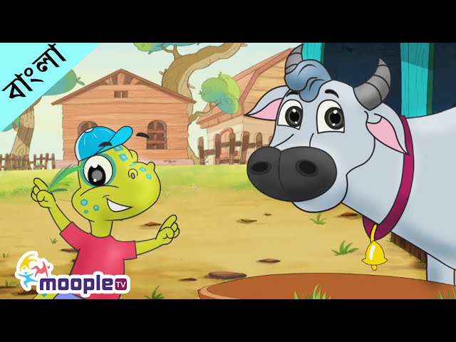 Domestic Animal Rhymes | Cow, Dog, Cat, Sheep, Rabbit | Learn Domestic Animals | Moople TV Bangla