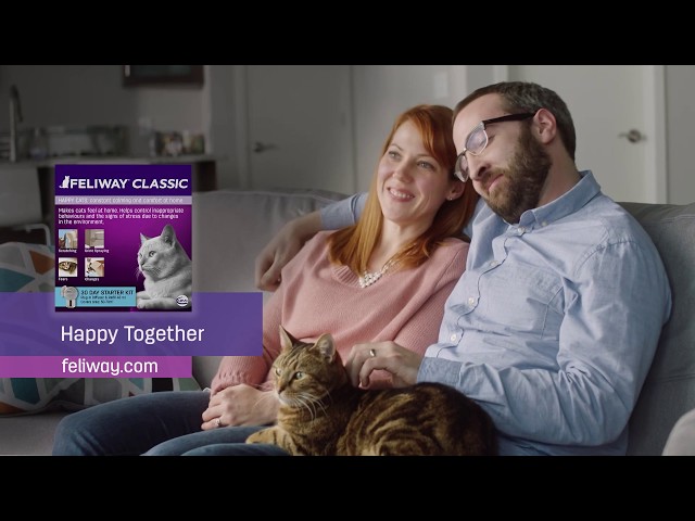 Is your cat anxious and hiding? FELIWAY is clinically proven to calm your cat