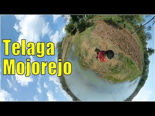 Telaga Mojorejo - Kecamatan Wates - Kabupaten Blitar