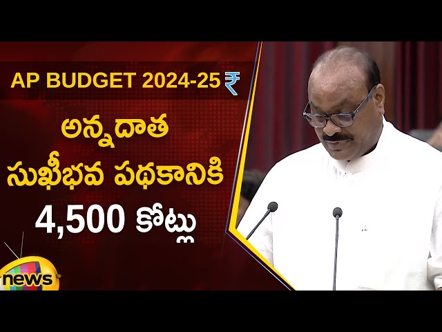 AP Budget 2024-25: Atchannaidu Announces ₹4,500 Crores for Annadata Sukhibhava Scheme | AP Assembly