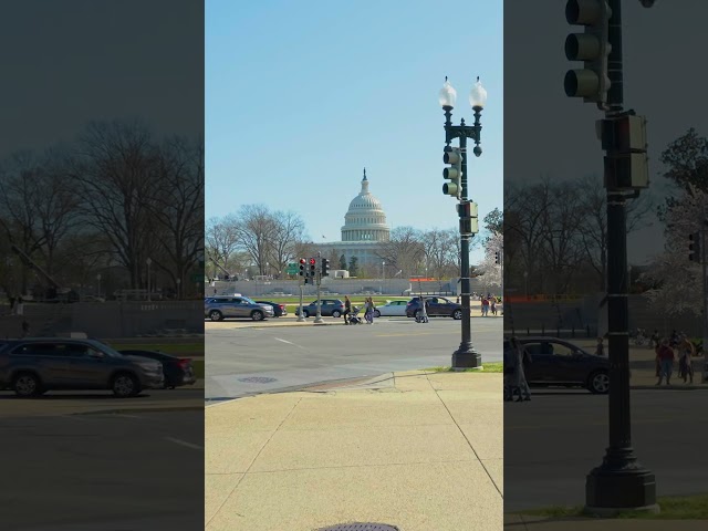 Best Shots from Washington DC Virtual Tour - Onewheel Ride in the Capital of USA - #Short 1