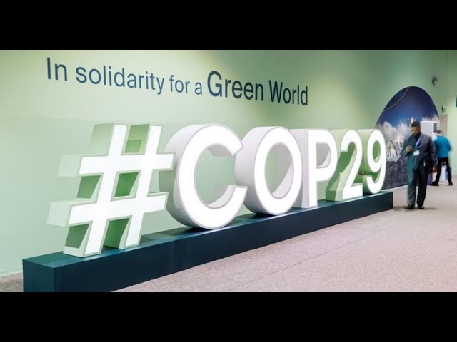 Baku at the Heart of Climate Action: Insights from COP29