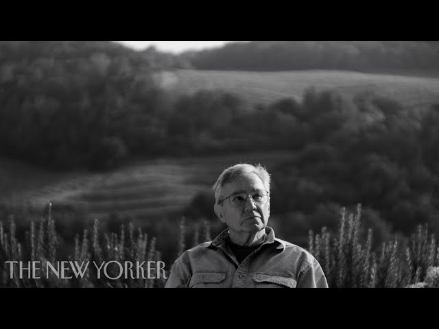 How Soundscapes Change After A Fire | "The Last of the Nightingales" | The New Yorker Documentary