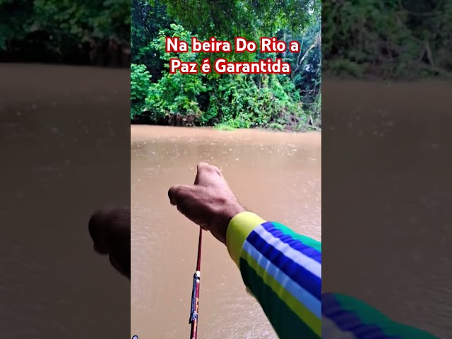 Paz de Deus esse lugar me traz #youtubeshorts #pesca #jaguari