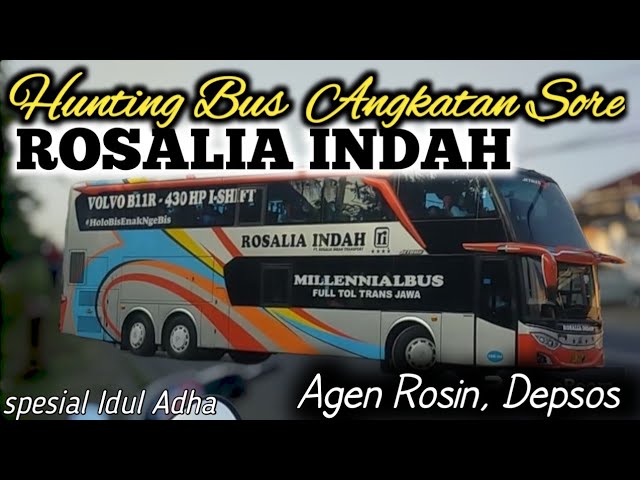 HUNTING BUS ROSALIA INDAH ANGKATAN SORE H-1 IDUL ADHA DARI AGEN DEPSOS BEKASI