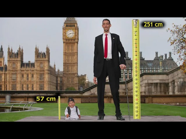 Giants Among Us - Meet the World's Tallest Humans