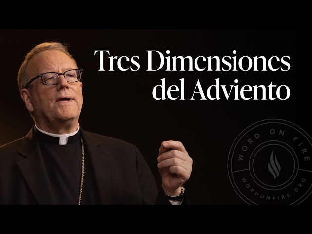 Tres Dimensiones del Adviento — Sermón del Domingo del obispo Robert Barron