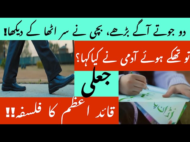 Fake advertisement of Shahbaz Sharif /Government of Pakistan advertisement / Farzana Roohi Aslam /