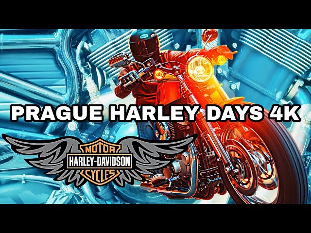 Top Biker Reveals the BEST Rides at Prague Harley Days 4K HDR