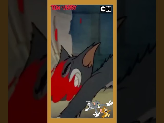 Tom and Jerry 😺🐭| Cat And The Mouse Fight 🥷| Cartoon for Kids 😍| @cnindia