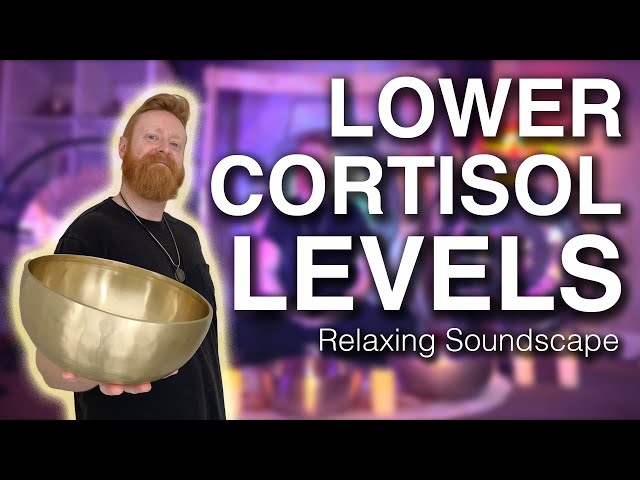 Lower Cortisol Levels with This Soothing Soundscape | Healing Frequencies